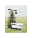 Bird Bath