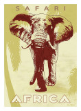 Safari Africa
