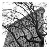 Flatiron with Tree (detail)