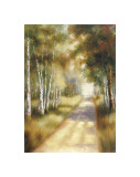Peaceful Passage