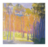 Clearing Capriccio  c2001