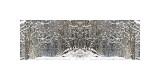 Winter Wonderland