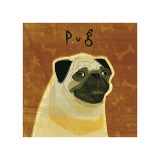 Pug