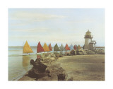 The Rainbow Fleet