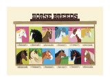 Horse Breeds