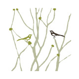 Little Bird