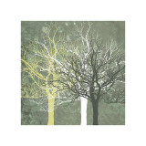 Silent Forest