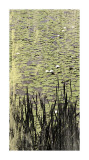 Lily Pond I
