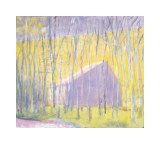 Saltbox Barn  2002
