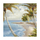 Palm Paradise