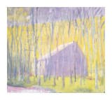 Saltbox Barn  2002