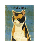 Calico