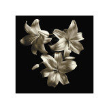 Three Lilies