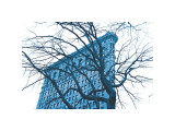Blue Flatiron