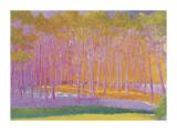 Light and Bright  2000