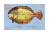 Winter Flounder