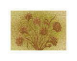 Amalia Blooms