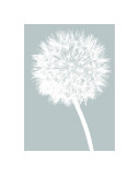 Dandelion (blue)