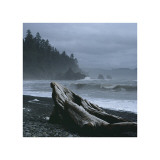 Pacific Drifter