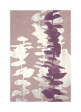 Eucalyptus  Roseberry