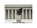 Rodin's Thinker in Profile