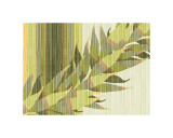 Water Leaves II