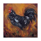 Rooster  no 500
