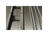 Golden Gate Bridge and Cables