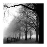 Black and White Morning