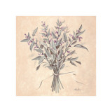 Scent of Sage