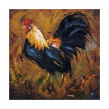Rooster  no 502