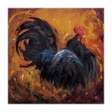 Rooster  no 501