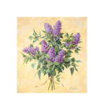 Lilac Season II