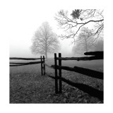 Fence in the Mist