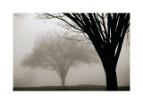 Memories of Winter
