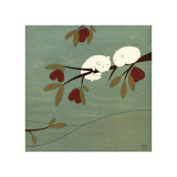 Sugar Plum tree