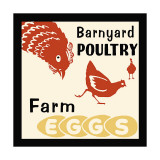 Barnyard Poultry-Farm Eggs