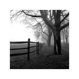 Corner Fence