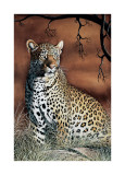 Sitting Leopard
