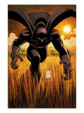 Black Panther 1 Cover: Black Panther