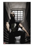 Punisher 29 Cover: Punisher