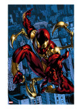 The Amazing Spider-Man 529 Cover: Spider-Man
