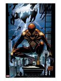 Amazing Spider-Man 530 Cover: Spider-Man