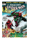 Marvel Comics Retro: The Amazing Spider-Man Comic Book Cover 122  the Green Goblin's Last Stand!