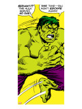 Marvel Comics Retro: The Incredible Hulk Comic Panel