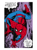 Marvel Comics Retro: The Amazing Spider-Man Comic Panel  Crawling