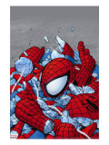 Amazing Spider-Man 565 Cover: Spider-Man