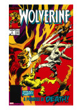 Wolverine 9 Cover: Wolverine