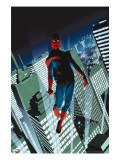 Amazing Spider-Man 522 Cover: Spider-Man
