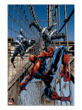 Amazing Spider-Man 512 Cover: Spider-Man and Stacy Twins Fighting and Flying
